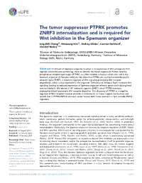 The Tumor Suppressor PTPRK Promotes ZNRF3 Internalization