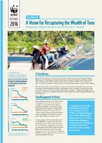 Tuna Blueprint a Vision for Recapturing the Wealth of Tuna Protecting Habitats Critical to Tuna in the Coral Triangle