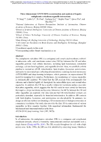 Three-Dimensional ATUM-SEM Reconstruction and Analysis Of