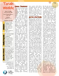 Torah Weekly
