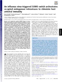 An Influenza Virus-Triggered SUMO Switch Orchestrates Co-Opted Endogenous Retroviruses to Stimulate Host Antiviral Immunity