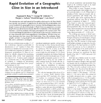 Rapid Evolution of a Geographic Cline in Size in an Introduced