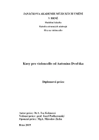 Magisterská Práce3