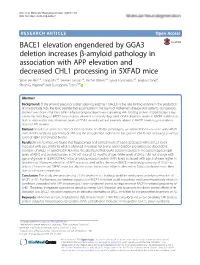 BACE1 Elevation Engendered by GGA3 Deletion Increases Β-Amyloid