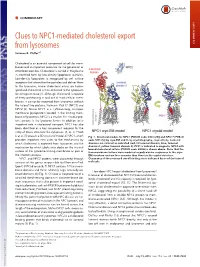 Clues to NPC1-Mediated Cholesterol Export from Lysosomes