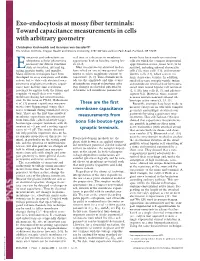 Exo-Endocytosis at Mossy Fiber Terminals: Toward Capacitance Measurements in Cells with Arbitrary Geometry