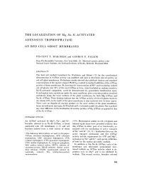 THE LOCALIZATION of Mg-Na-K-ACTIVATED ADENOSINE TRIPHOSPHATASE
