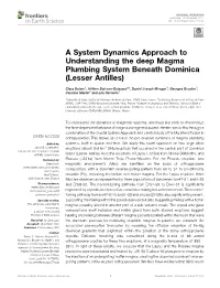 A System Dynamics Approach to Understanding the Deep Magma Plumbing System Beneath Dominica (Lesser Antilles)