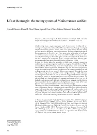 Life at the Margin: the Mating System of Mediterranean Conifers