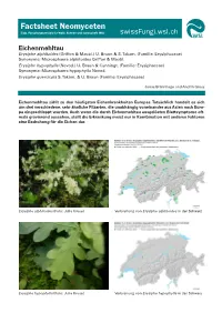 Published Version