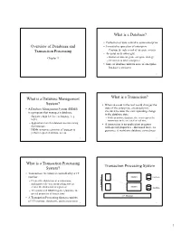 What Is a Database Management System? What Is a Transaction