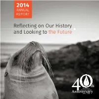 2014 Impact Report