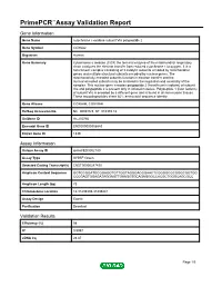 Primepcr™Assay Validation Report