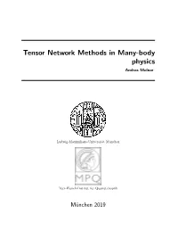 Tensor Network Methods in Many-Body Physics Andras Molnar