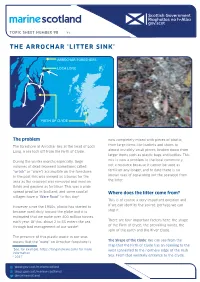 The Arrochar 'Litter Sink'