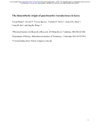 The Biosynthetic Origin of Psychoactive Kavalactones in Kava