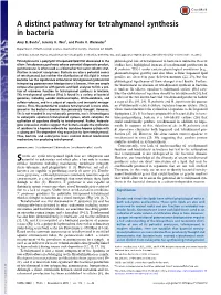 A Distinct Pathway for Tetrahymanol Synthesis in Bacteria