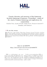Genetic Diversity and Structure of the Binturong Arctictis Binturong