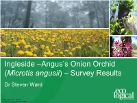 Ingleside –Angus's Onion Orchid (Microtis Angusii) – Survey Results