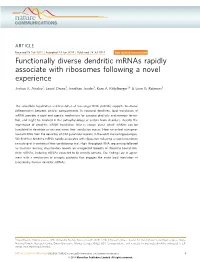 Functionally Diverse Dendritic Mrnas Rapidly Associate with Ribosomes Following a Novel Experience