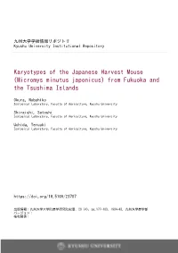 Karyotypes of the Japanese Harvest Mouse (Micromys Minutus Japonicus) from Fukuoka and the Tsushima Islands