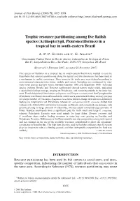 Trophic Resource Partitioning Among Five Flatfish Species (Actinopterygii