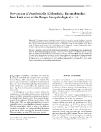 (Collembola : Entomobryidae) from Karst Caves of the Basque Bio-Speleologic District
