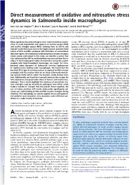 Direct Measurement of Oxidative and Nitrosative Stress Dynamics in Salmonella Inside Macrophages