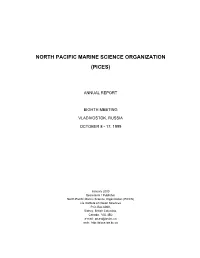 Full Annual Report 1999