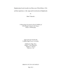 Zingiberalean Fossils from the Late Paleocene of North Dakota, USA and Their Significance to the Origin and Diversification of Zingiberales