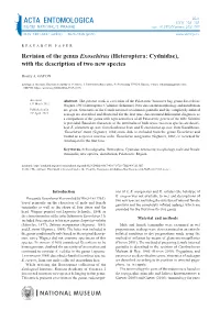 Heteroptera: Cydnidae), with the Description of Two New Species