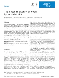The Functional Diversity of Protein Lysine Methylation