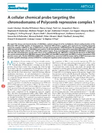 A Cellular Chemical Probe Targeting the Chromodomains of Polycomb
