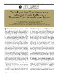 Fieldwork on Threatened Vipers In