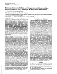 Primary Structure of Tektin Al