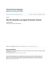 Why There Should Be a Law Against US Domestic Terrorism
