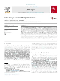 Yet Another Job for Dna2: Checkpoint Activation