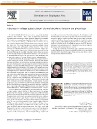 Advances in Voltage-Gated Calcium Channel Structure, Function and Physiology