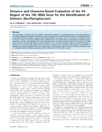 Distance and Character-Based Evaluation of the V4 Region of the 18S Rrna Gene for the Identification of Diatoms (Bacillariophyceae)