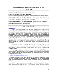 Final Project Report English Pdf 139.85 KB