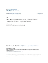 Structure and Metabolism of the Intracellular Polysaccharide of Corynebacterium. Don D