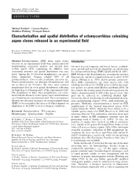 Characterization and Spatial Distribution of Ectomycorrhizas Colonizing Aspen Clones Released in an Experimental Field