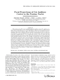 Focal Projections of Cat Auditory Cortex to the Pontine Nuclei