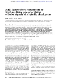 Mad1 Kinetochore Recruitment by Mps1-Mediated Phosphorylation of Bub1 Signals the Spindle Checkpoint