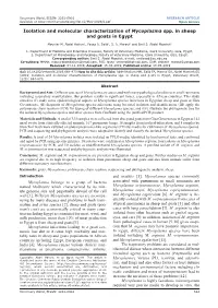 Isolation and Molecular Characterization of Mycoplasma Spp