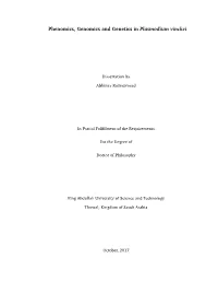 Phenomics, Genomics and Genetics in Plasmodium Vinckei