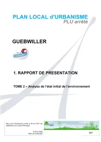 1-RP-TOME-2-Analyse-De-Letat-Initial