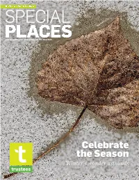 Download a PDF Copy of This Issue of Special