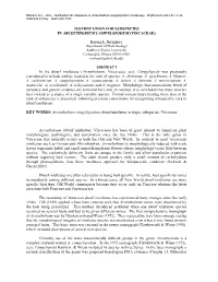 JUSTIFICATION for SUBSPECIES in ARCEUTHOBIUM CAMPYLOPODUM (VISCACEAE) ABSTRACT in the Dwarf Mistletoes