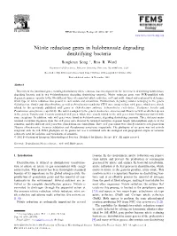 Nitrite Reductase Genes in Halobenzoate Degrading Denitrifying Bacteria